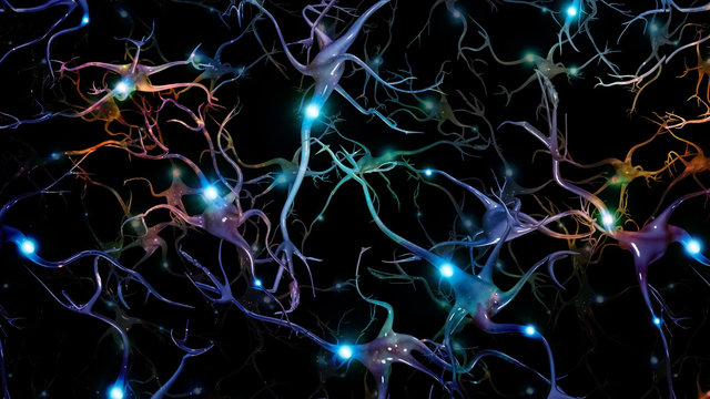 Colorful neurons