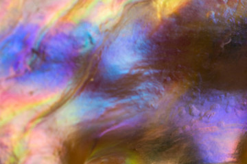 Fototapeta na wymiar Natural shell haliotis of pearl iridescent texture