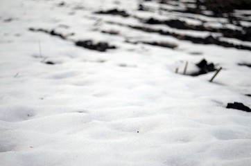 snow  land in winter