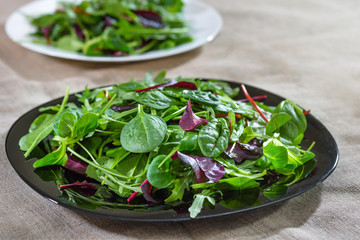 A mixed green salad, leaves of arugula, lettuce and spinach.