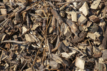 small tyrsa after pruning trees