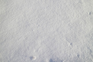 snow sparkling in the sun