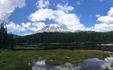 Fototapeta na wymiar Mount Rainier