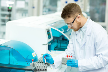 Male scientist working at the laboratory