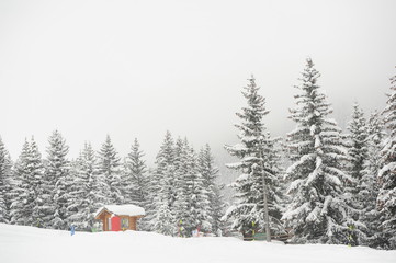 Winter scenery with hut and forest with snowy background 