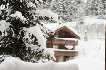 Winter scenery with chalet and pine trees