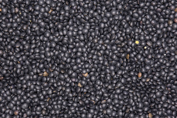 Lot of whole black lentils beluga variety flatlay isolated