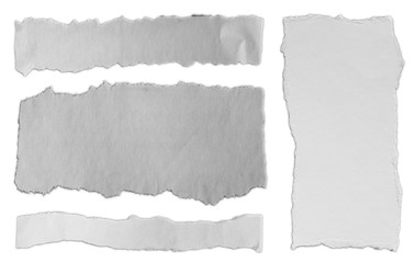Torn pieces of paper