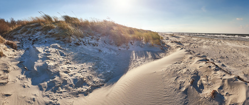 Sand dunes and windy beach in Hiddensee island on the Baltic coast of Germany, panorama