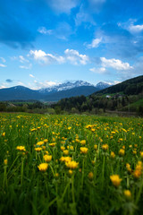 Obraz premium Nature au printemps dans les montagnes