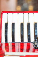 Musical instrument. A man plays the accordion. Event. Accordion. Bellows. Bayan. Keyboard...