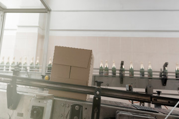 Bottle packaging line in production