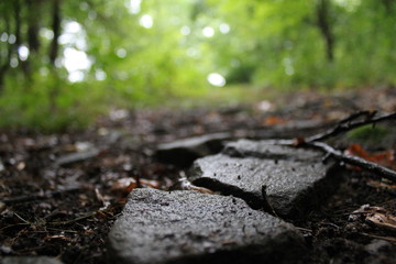 Stepping Stones - Nature Photography