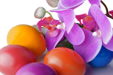 Obraz na płótnie Canvas Easter eggs and flowers on a white background - spring