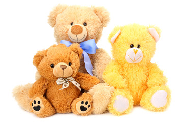 Two toy teddy bears isolated on white background