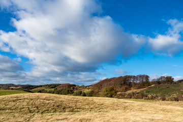 Fototapeta premium Landschaft auf der Insel Moen in Dänemark