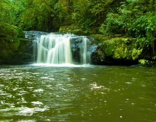 Fototapeta premium cachoeira no interior da floresta atlantica