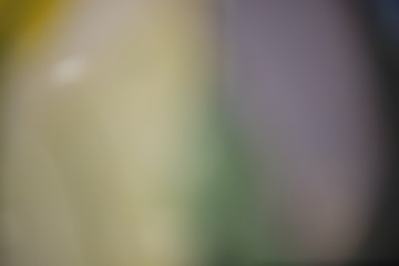 spring like color backgrounds