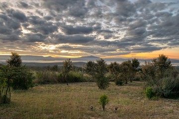 Sunrise on Lake Naivasha, Kenya, Africa 