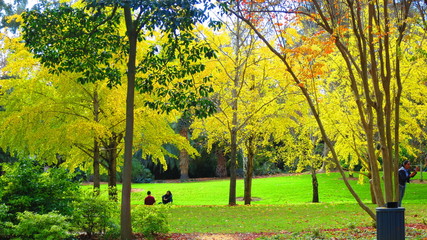 Botanic Garden in Adelaide, Australia