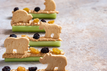 Homemade Ants on a Log Snack with Celery Peanut Butter, Raisins and Cookie
