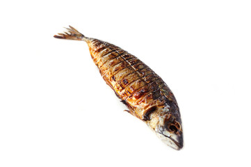 Grilled crispy fish isolated on the white