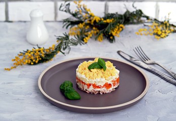 Traditional Russian salad Mimosa with boiled pink salmon, carrots, onions and eggs on a gray concrete background. Served on ceramic plates, decorated with sliced fresh cucumber