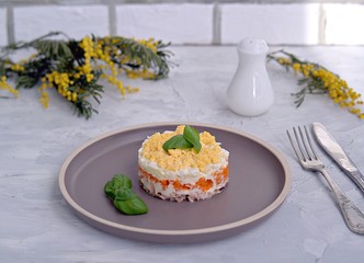 Traditional Russian salad Mimosa with boiled pink salmon, carrots, onions and eggs on a gray concrete background. Served on ceramic plates, decorated with sliced fresh cucumber
