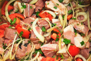 Shashlik marinated for grill in onion, herbs and spices