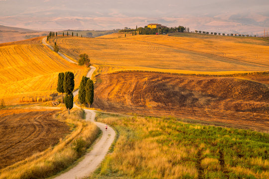 the road to Terrapille