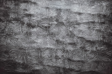 Black and white background. An old tree trunk without bark gnawed through by wood worms.