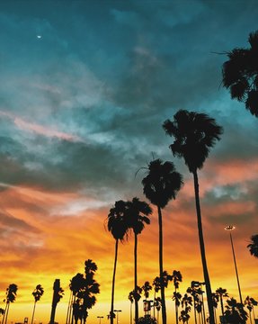 golden hour
