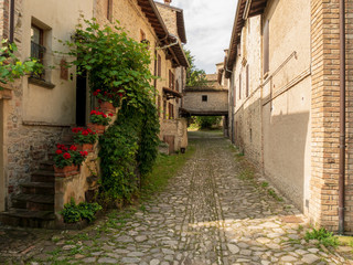 Fototapeta na wymiar Old cobblestone path between houses and an ivy-guarded entrance on Castello Torrechiara, Tuscany, Italy