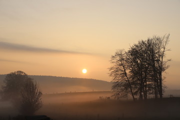 Fototapeta na wymiar Foggy morning sunrise
