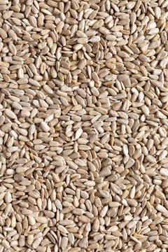 Hulled Sunflower Seeds, Close-up.