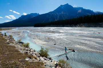 A woman walks across a log over the turquoise glacier waters and braided channels along the Icefields Parkway, Highway 93, Jasper National Park, Alberta, Canada.