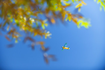 An-2 aircraft in the sky. Blue sky. Agricultural aircraft. Sunny day. Tree with green leaves....