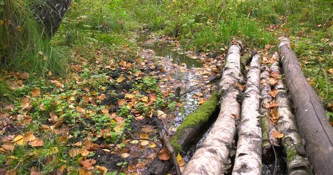 Water Source in ural forest
