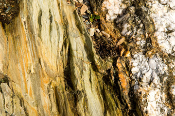 Geological formation - Rocks - Holy Island UK, Wales