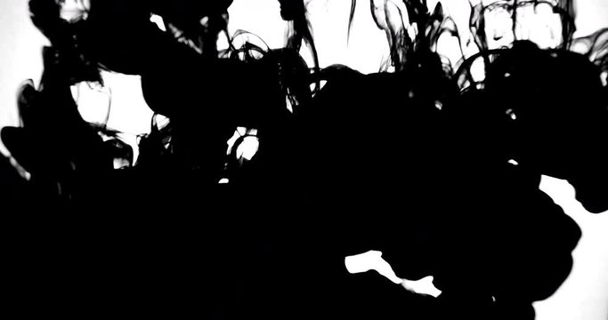 Droping black ink in the water behind the white background