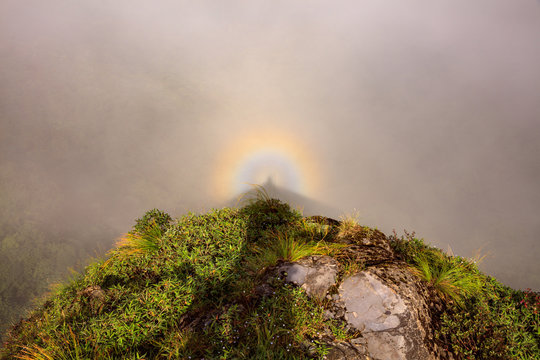 Circular rainbow, foguang, buddha, glory optical effect. Photographer's shadow projected into the middle of a rainbow, shadow halo effect, thick mist and fog in a valley below the viewer.