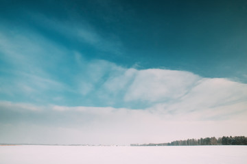 Fototapeta premium Snow-covered Field Meadow In Winter Frosty Sunny Day