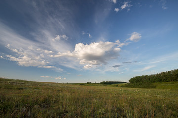 Clouds over the vast fields of ripe wheat in the middle of summer at sunset. 