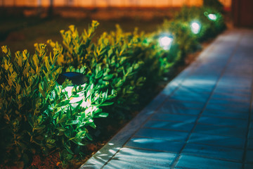 Solar Garden Light, Lanterns In Flower Bed. Garden Design