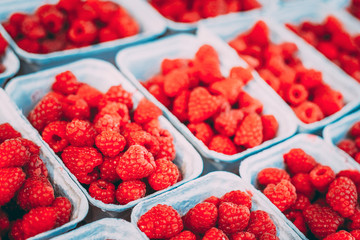 Assortment Of Fresh Yummy Organic Red Berries Raspberries At Market In Trays