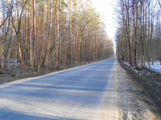 Road in the spring between the forests.