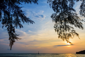 Beautiful nature landscape of colorful the sun on the sky at Tarutao island beach during the sunset over the Andaman Sea under the tree shadow, Tarutao National Park, Satun, Thailand