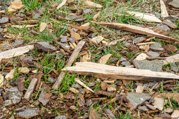 chips of beech tree bark in the garden