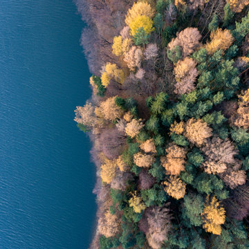Autumn coastline