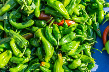 bunch of green pepper on the counter